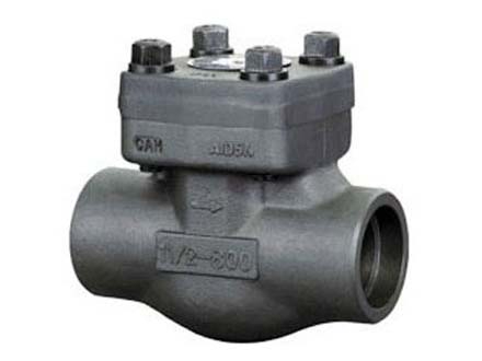 Zirconium check valve