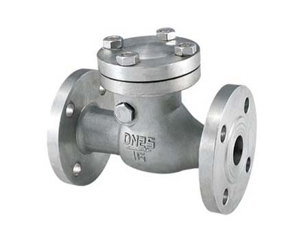 Titanium check valve