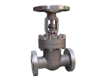 Titanium gate valve 03