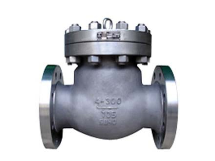 Swing titanium check valve