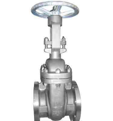 Hastelloy B gate valve