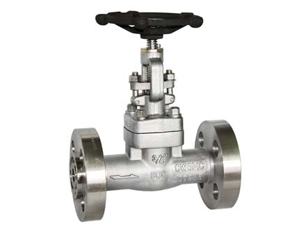 Hastelloy gate valve