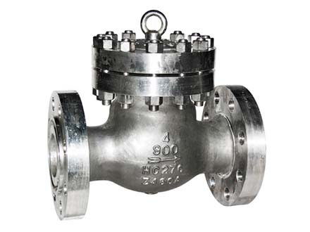 Monel check valve