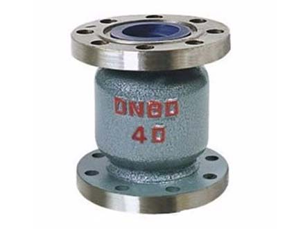 H42b ammonia check valve