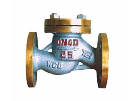 H41b ammonia lift check valve