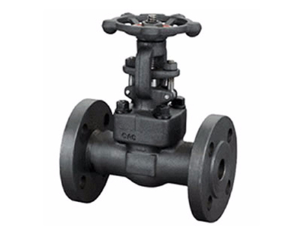 Z41h Japanese standard flange forged steel gate valve