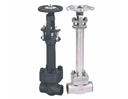 Dz11y forged steel low temperature gate valve