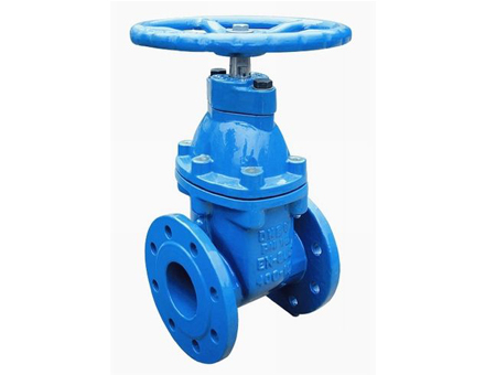 Elastic gate valve