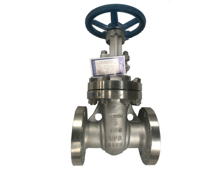 Stainless steel gate valve