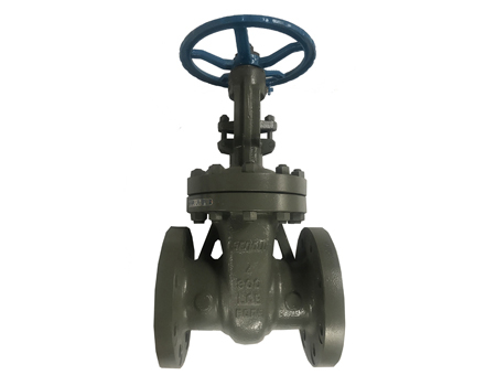 Low temperature carbon steel gate valve