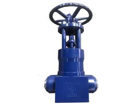 Forged steel high temperature and high pressure gate valve