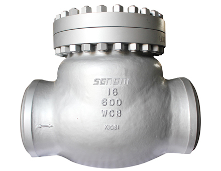 Power station check valve