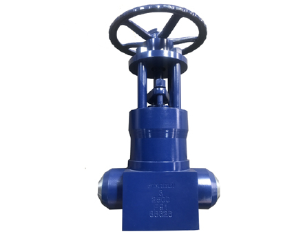 High temperature and high pressure power station gate valve